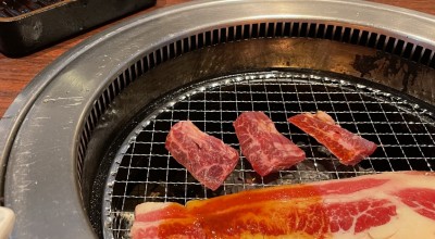 牛角食べ放題専門店 馬事公苑店 千歳船橋駅 焼肉 ホルモン