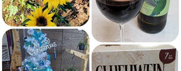 佐倉ラベンダーランド