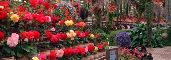 富士花鳥園 喫茶コーナー