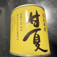 yoshisoさんの写真