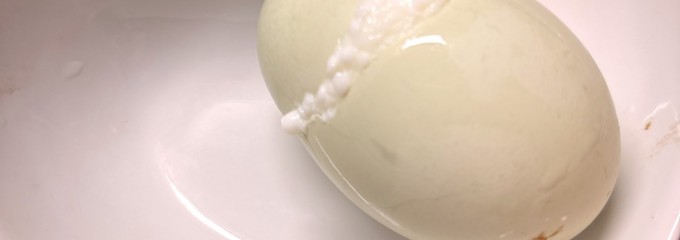 たまごのお店 むこたま 成田北須賀店