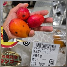 hanayuta02さんの写真