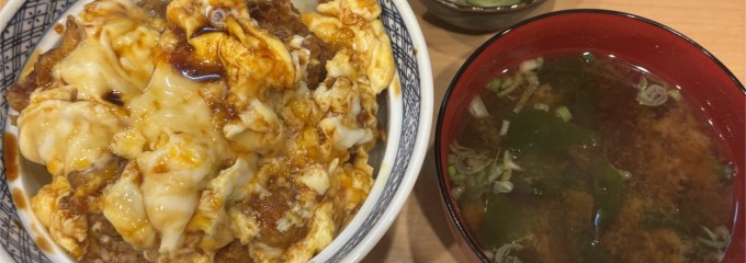 かき玉 かき揚げ丼 岩田屋