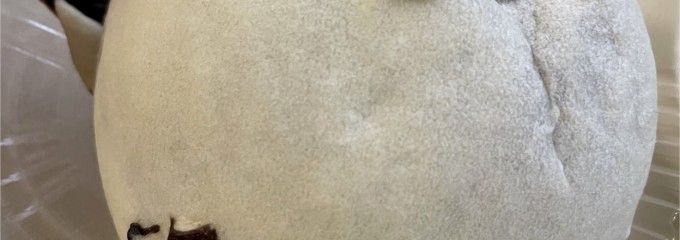 Delifrance 光が丘店