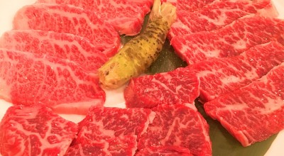 焼肉食堂 卸 静岡食肉センター 静岡市 静岡 焼肉 ホルモン