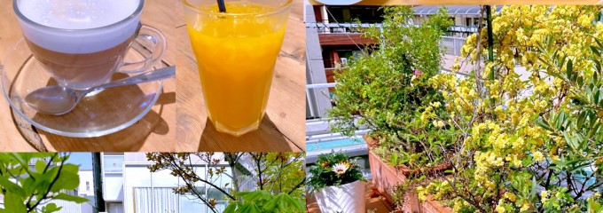 自由が丘プラス南口店