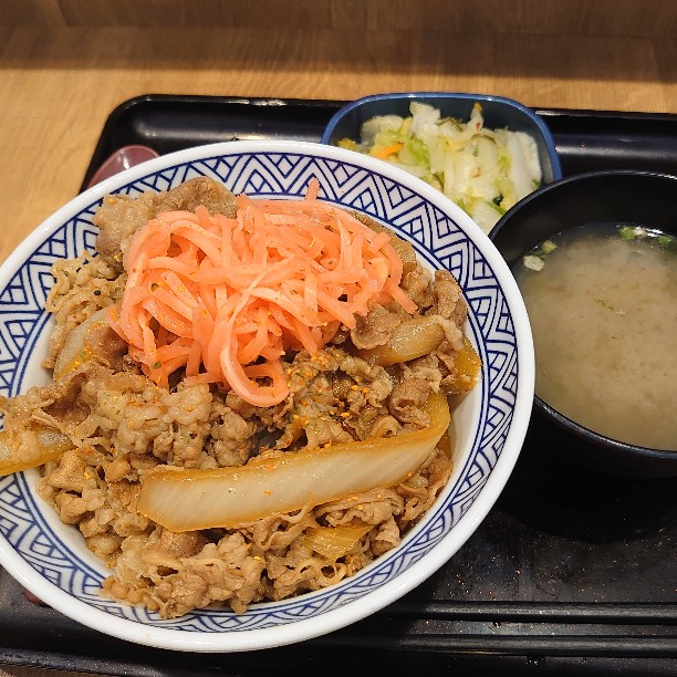吉野家 吉野家 公式【※常温配送/冷凍同梱不可※】常温保存タイプ 牛丼の