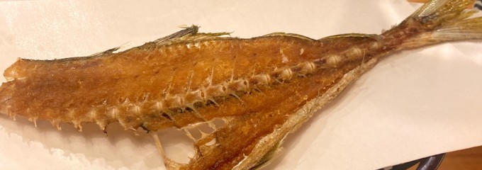 さかなや うおきく