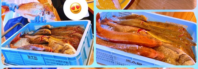 魚太郎  半田店