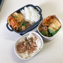 Akkomaruさんの写真
