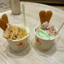 h_cinnamonさんの写真