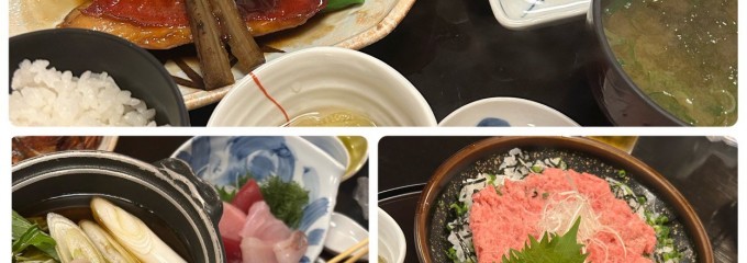 本家 鮪屋