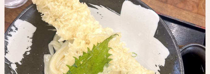 本格手打ちうどん もり