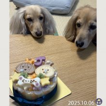 youandme110さんの写真