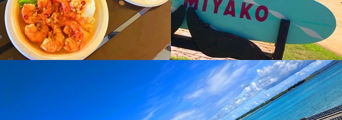 HARRY'S Shrimp Truck /ハリーズ
