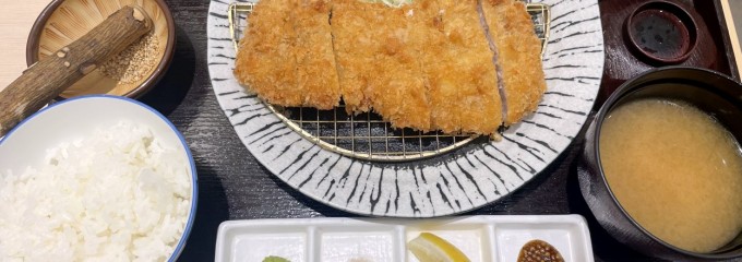 とんかつ 知青