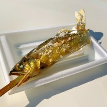 shuji10kyuさんの写真
