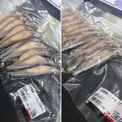 うおはん 恵庭駅 お土産