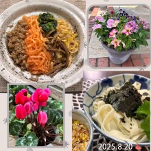 mie2775さんの写真