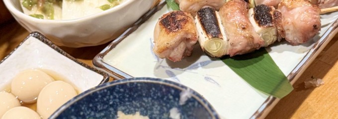 文鳥