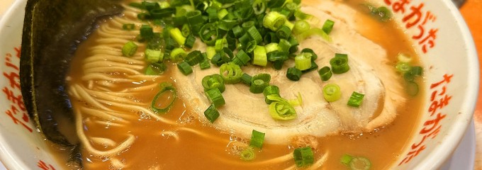 九州大分らぁめん たまがった 横浜西口店