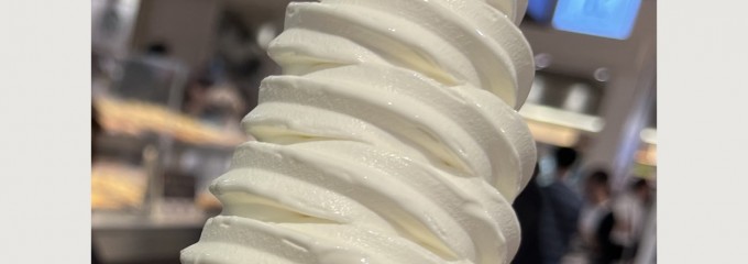 きのとや 新千歳空港ターミナルビル店