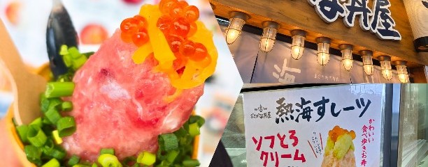 熱海駅前・おさかな丼屋