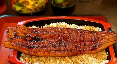 名代宇奈とと 上野店 上野 日暮里 湯島 京成上野 うなぎ どじょう