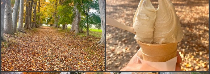 手作りジェラート店 NAMIKI