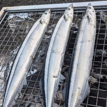 kuroDさんの写真