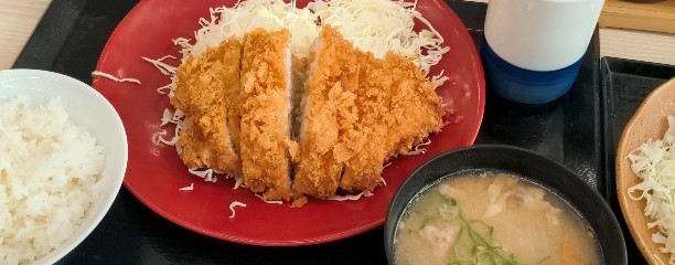 かつや 群馬館林店