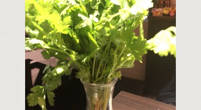 亜細亜的バル シンチャオ 三軒茶屋駅 ベトナム料理