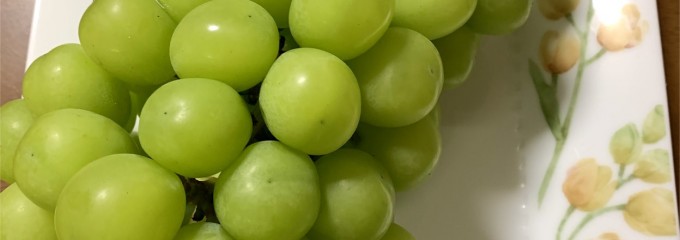 牛牧直売所 あんしん市場