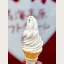 kaho_ikaさんの写真