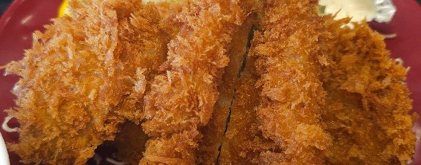 かつや 広島八木店