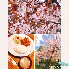 19750604Yjさんの写真