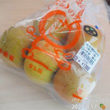 garimakoさんの写真