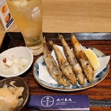 yoshokiさんの写真