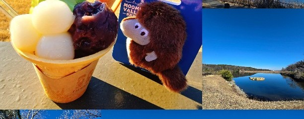 武蔵利休メッツァビレッジ店