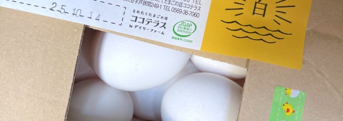ココテラス