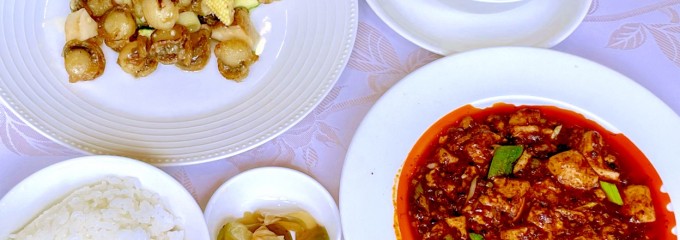 赤坂四川飯店