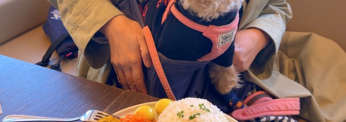 44APARTMENT ダブルフォーアパートメント 多摩センター