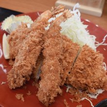 harenokuniさんの写真