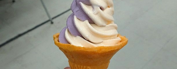 ブルーシールパーラー TANTO