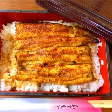 akane67さんの写真