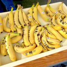hiken_Dさんの写真