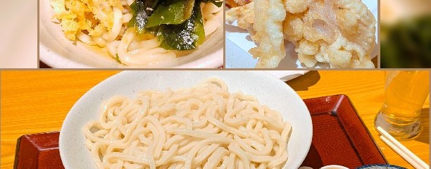 うどん日和ひこどん