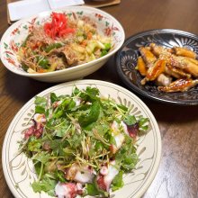 HibinoGohan_igaさんの写真