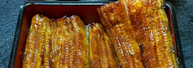 うなぎ 川魚  錦水