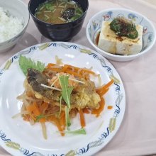 mor2508さんの写真
